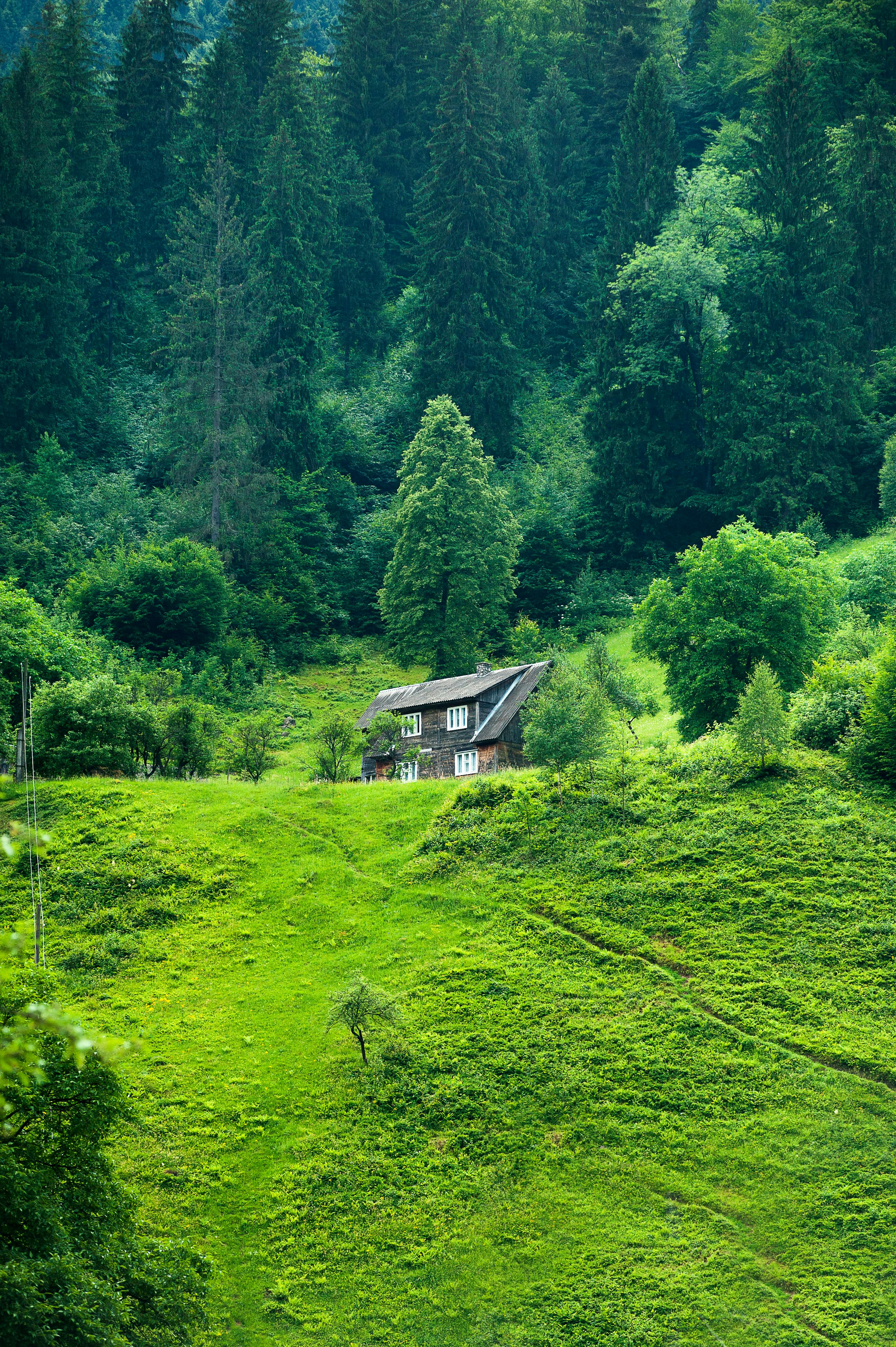 Wellness v Sloveniji